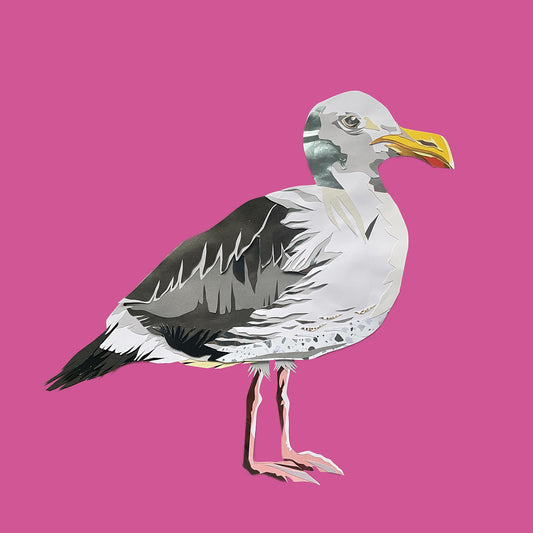 Seagull Print