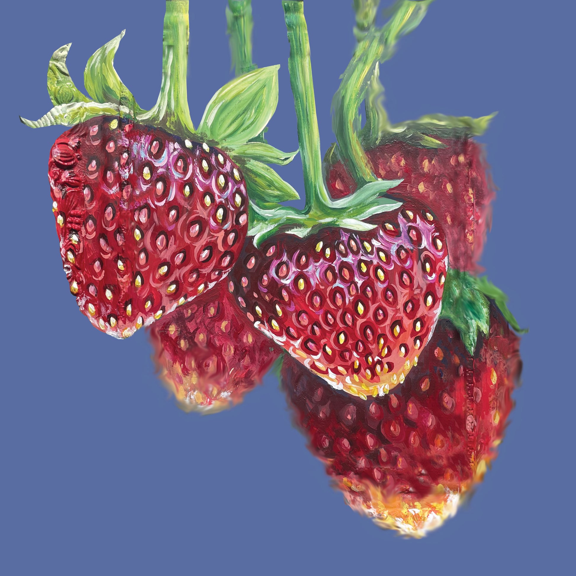 Strawberries with green leaves on a blue background