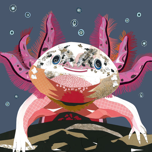 Axolotl print