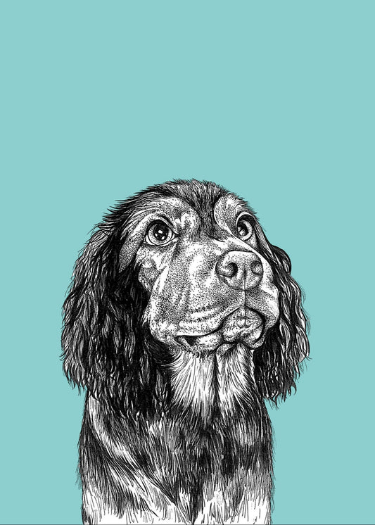 Spaniel Print