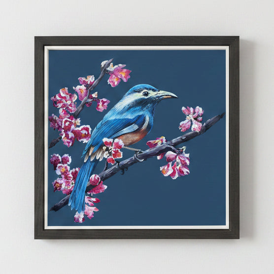 Eastern bluebird large print
