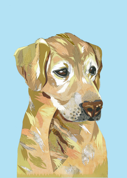 Golden Labrador Print