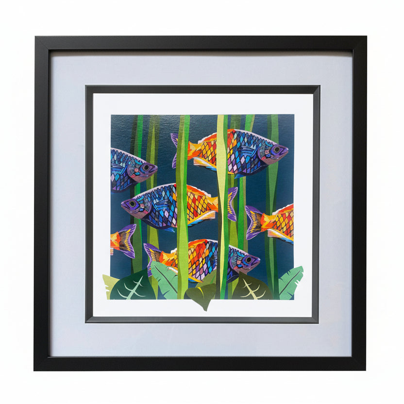 Limited Edition Rainbowfish Print