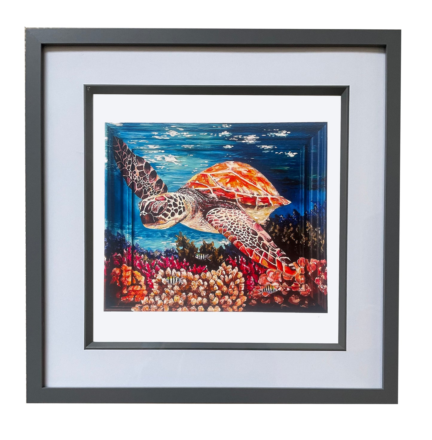 Limited Edition Sea Turtle Print