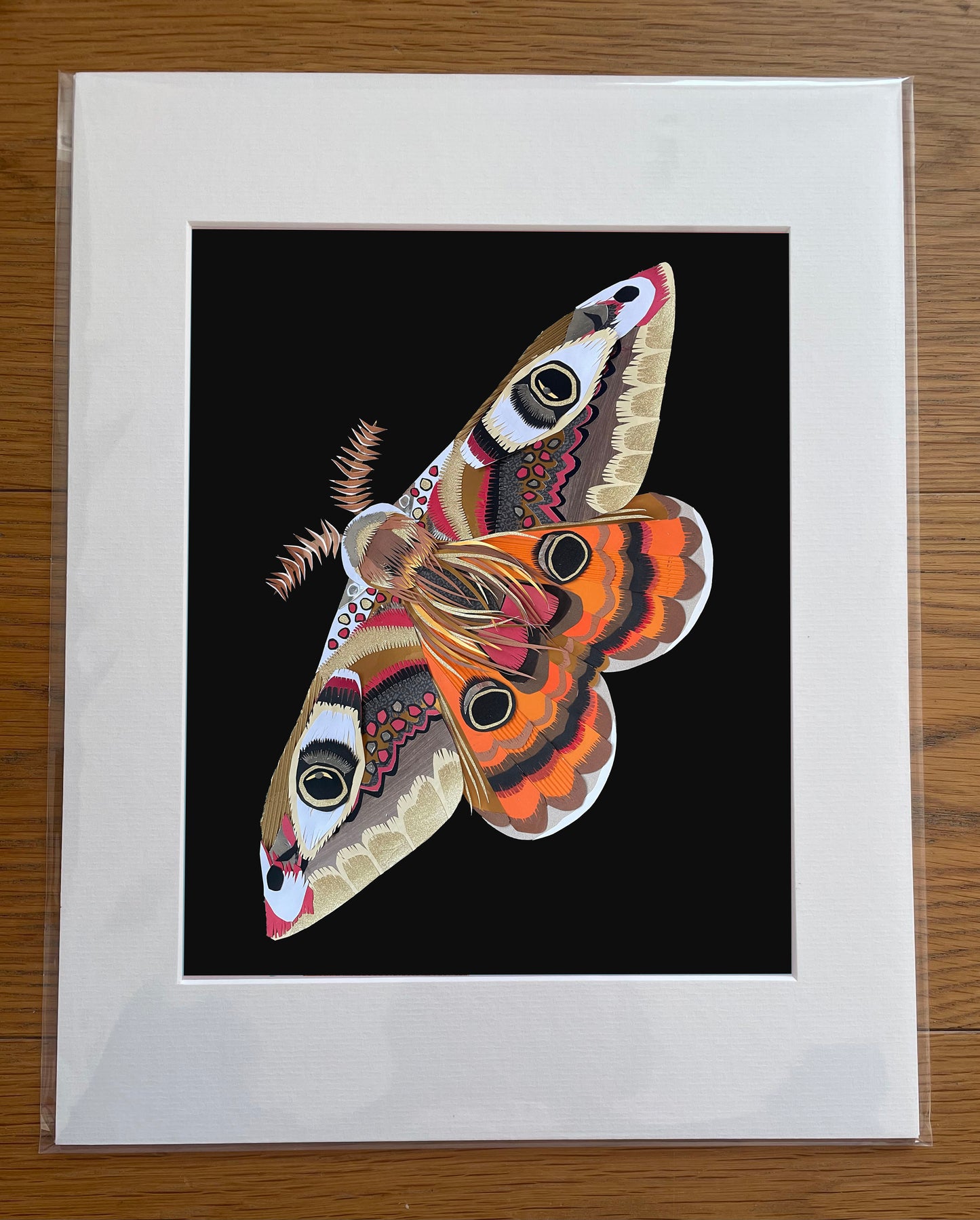 Emperor Moth Print