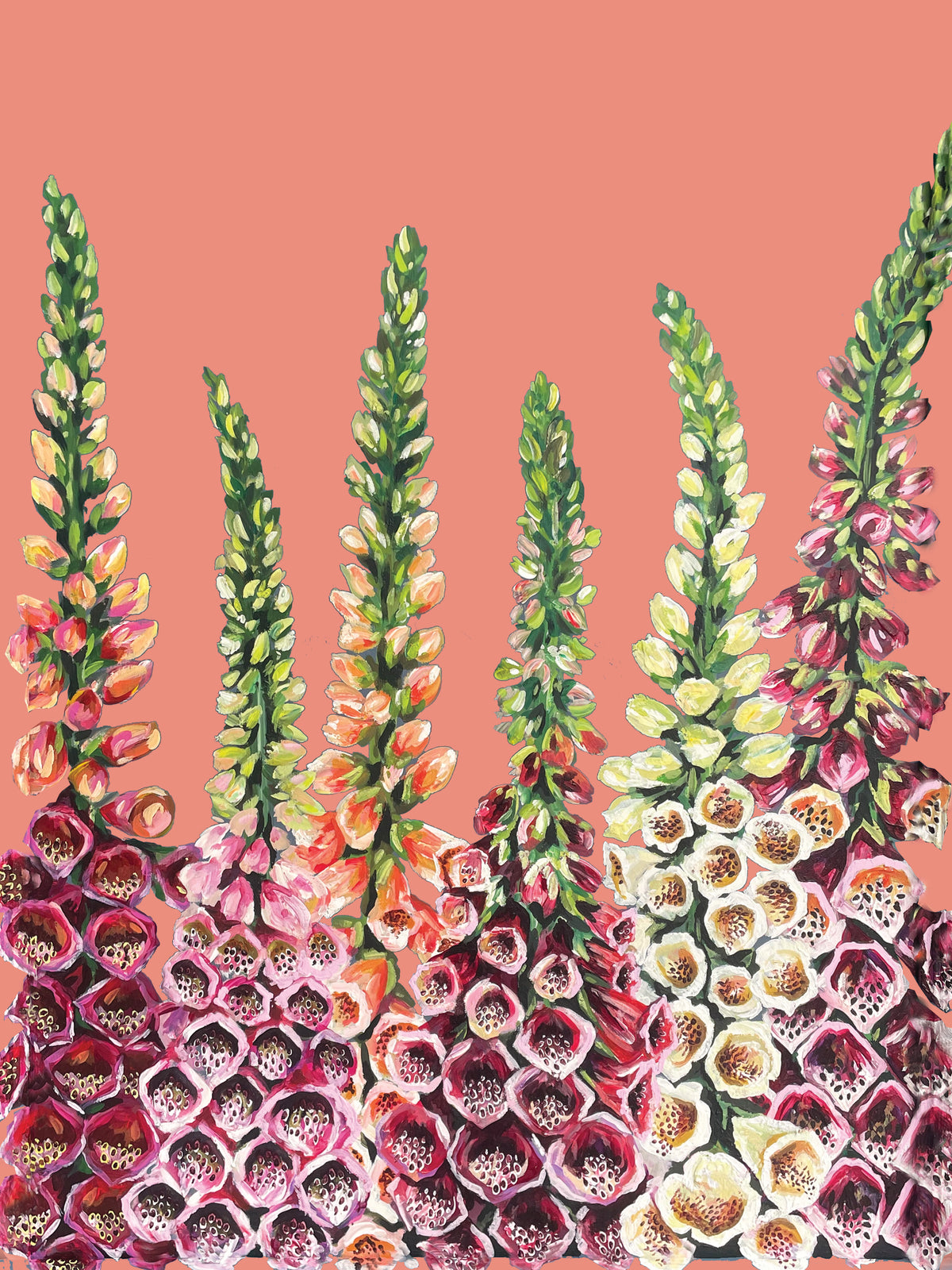 A5 Foxgloves Print
