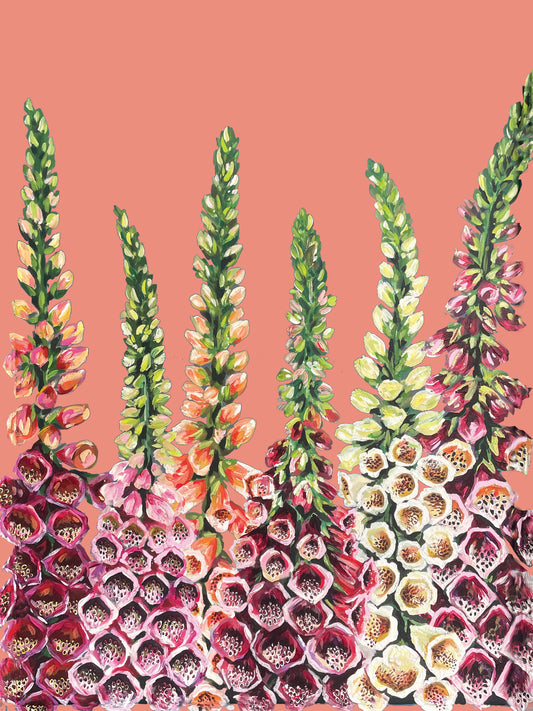 A5 Foxgloves Print