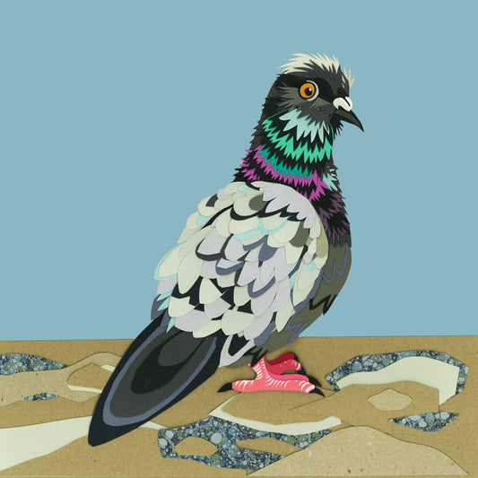 Pigeon print